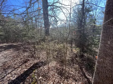 11 Spring Branch Rd, Nancy, KY 42544 photo 6