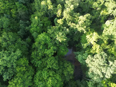 67 Acres Little Frk, Sandy Hook, KY 41171