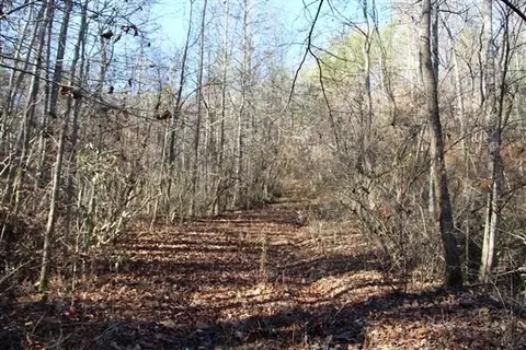 1090 Bacon Creek Rd, Corbin, KY 40701
