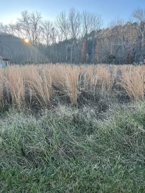 30 Monkey Bluff Rd, Burkesville, KY 42717