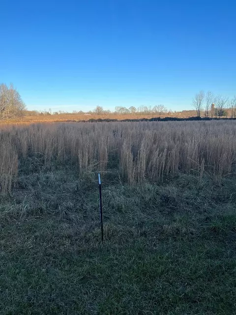 34 Monkey Bluff Rd, Burkesville, KY 42717