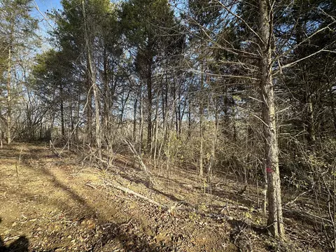 3 02 Peytonsburg-sulphur Rd, Burkesville, KY 42717