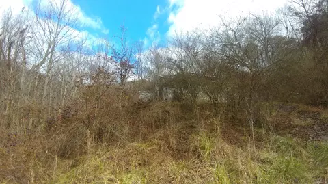 165 N Plum St, Irvine, KY 40336