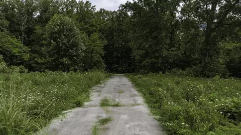 516 Colson Dr, Bronston, KY 42518 photo 16