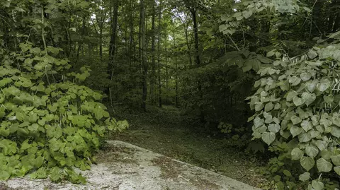 516 Colson Dr, Bronston, KY 42518 photo 17