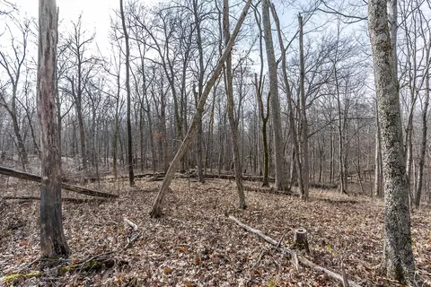 131 Drake Ln, Georgetown, KY 40324 photo 3