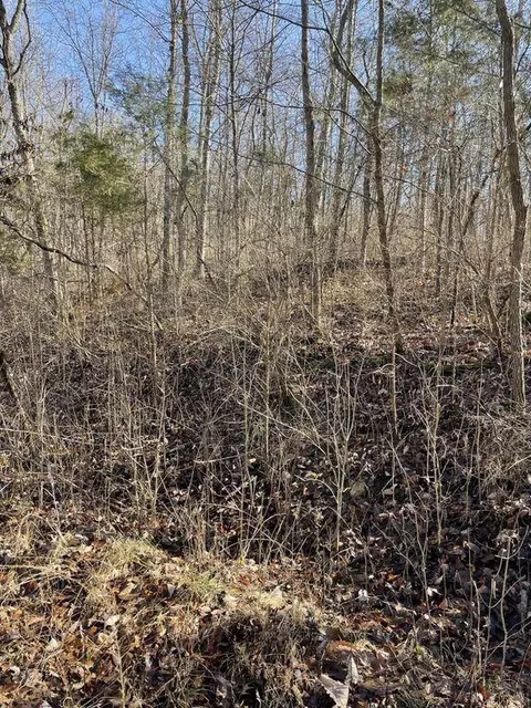 0 Mt Sterling Rd, Flemingsburg, KY 41041