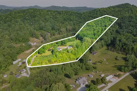 95 Orphia Lewis Rd, Hinkle, KY 40953 photo 2