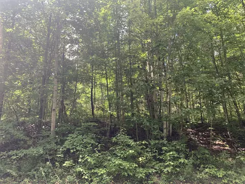 3001 Hazel Patch Rd, East Bernstadt, KY 40729