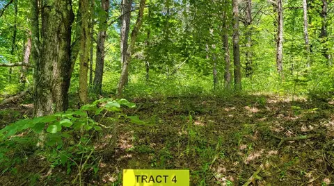 4100 Hazel Patch Rd, East Bernstadt, KY 40729