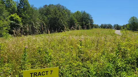 3801 Hazel Patch Rd, East Bernstadt, KY 40729
