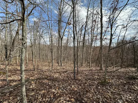 11 Williams Crk, Rush, KY 41168 photo 30