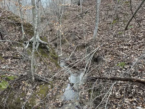 11 Williams Crk, Rush, KY 41168 photo 31