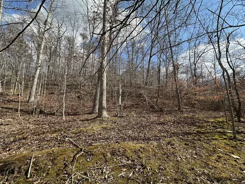 11 Williams Crk, Rush, KY 41168 photo 29