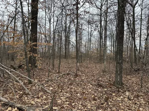 11 Williams Crk, Rush, KY 41168 photo 33