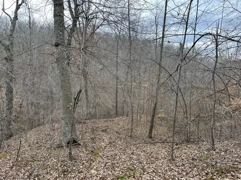11 Williams Crk, Rush, KY 41168 photo 24