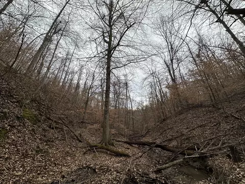 11 Williams Crk, Rush, KY 41168 photo 26