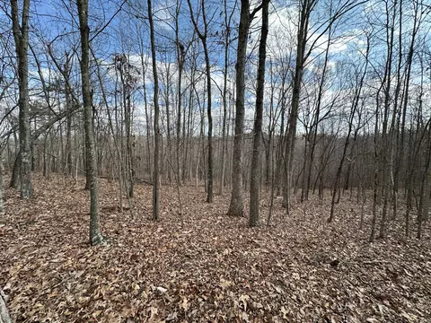 11 Williams Crk, Rush, KY 41168 photo 35