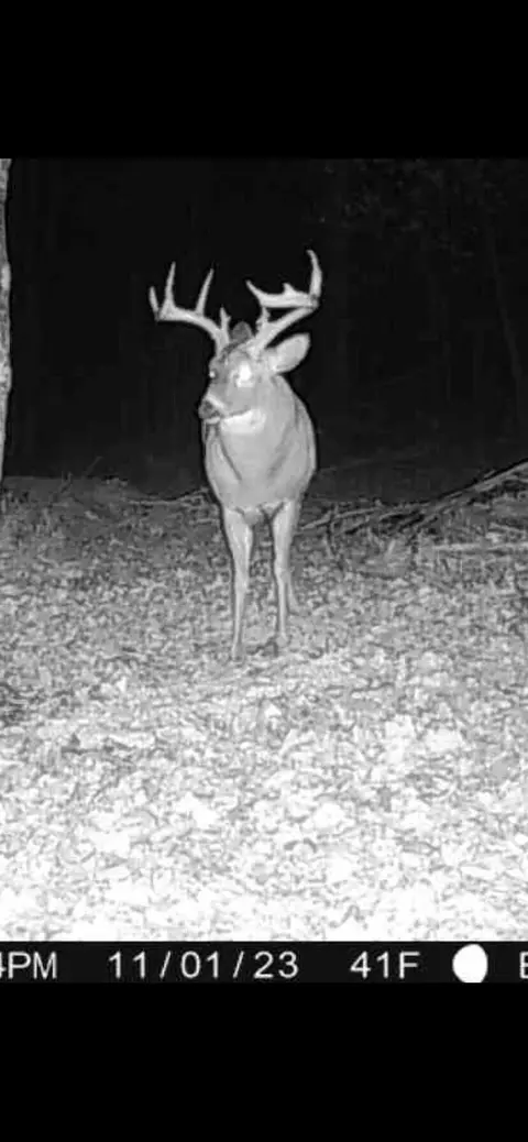 11 Williams Crk, Rush, KY 41168 photo 39