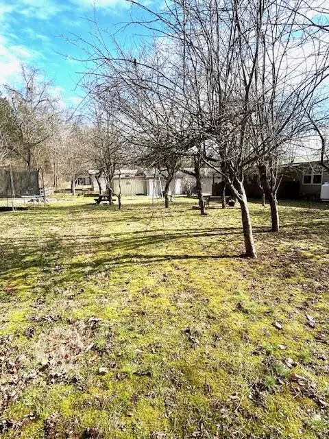 356 Lakeshore Dr, Burnside, KY 42519 photo 46
