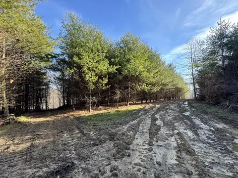 00 Clayton Dr, Wallingford, KY 41093