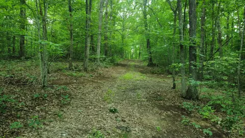 1 Pendleton Branch Rd, Salt Lick, KY 40371