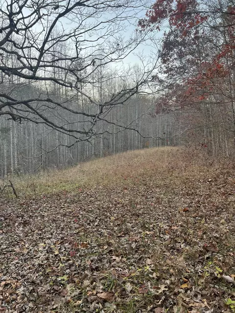 Exterior - 170 Patsy Rd, Irvine, KY 40336 photo 6 of 14