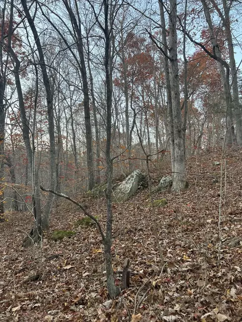View/Area - 170 Patsy Rd, Irvine, KY 40336 photo 2 of 4