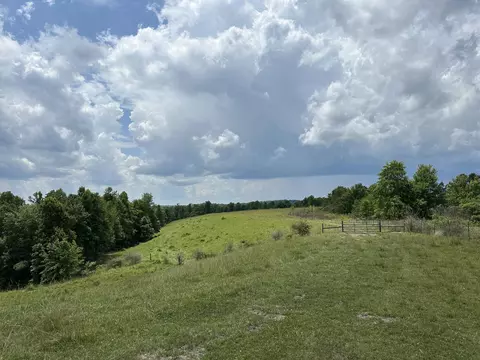 942 Tark Hill Rd, Grayson, KY 41143