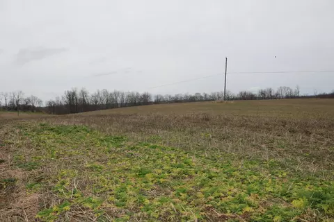 770 Sharp Rd, Sharpsburg, KY 40374 photo 6