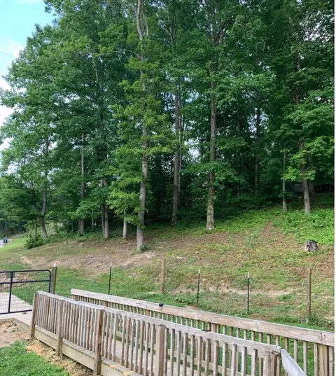 3339 Round Top Rd, Strunk, KY 42649 photo 13