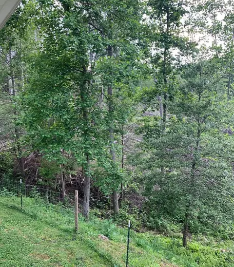 3339 Round Top Rd, Strunk, KY 42649 photo 14