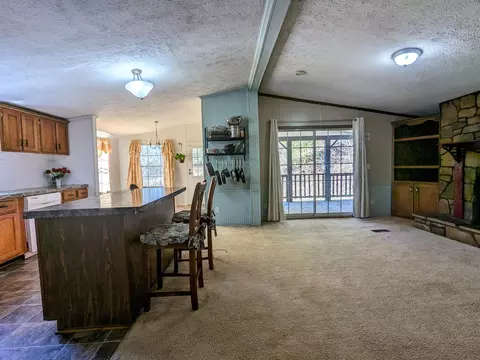 252 Rp Bargo Loop, Gray, KY 40734 photo 14