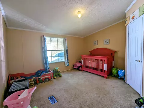 252 Rp Bargo Loop, Gray, KY 40734 photo 21