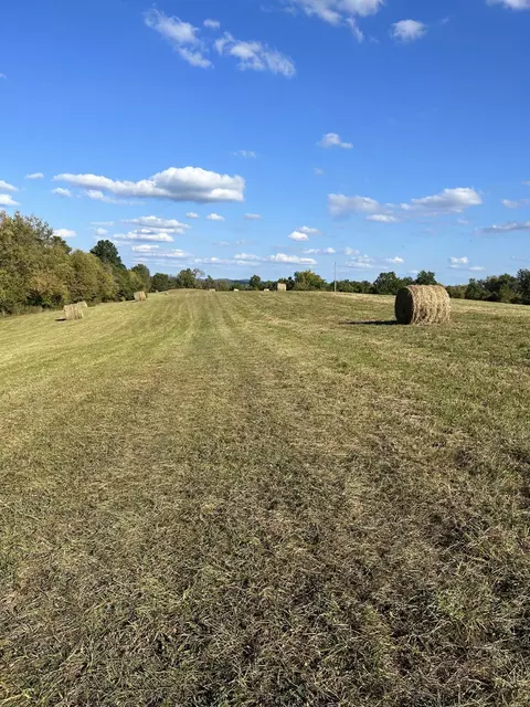 4222 Mccormick Rd, Mount Sterling, KY 40353