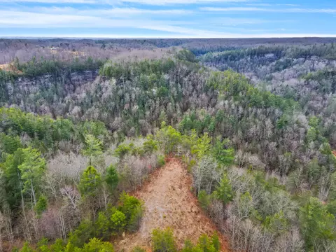 Lot 61 Shawnee Run, Rogers, KY 41365