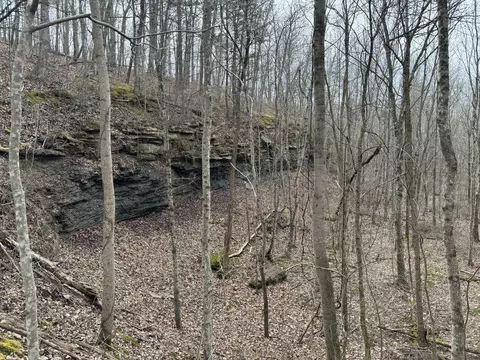 Tract Wolf Creek Road, Mount Vernon, KY 40456