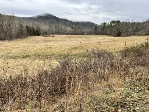 0000 Old Locust Branch Rd, Irvine, KY 40336