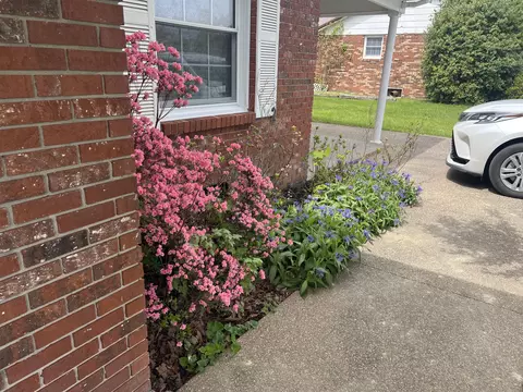 Exterior - 241 Circle Dr, Morehead, KY 40351 photo 10 of 12