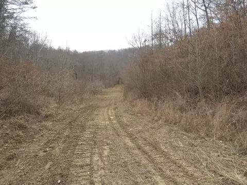 0000 Catron Branch Rd, Bryants Store, KY 40921