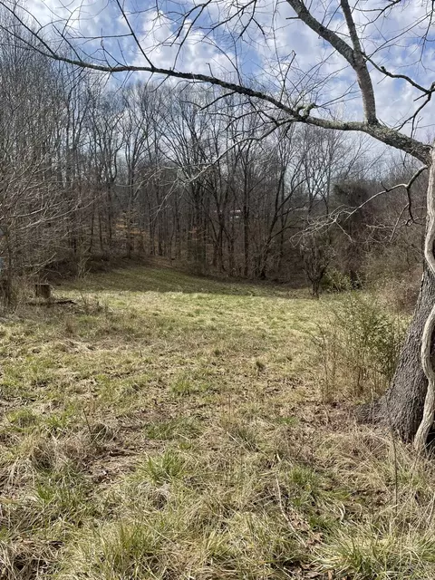 2041 1611 Hwy, Russell Springs, KY 42642