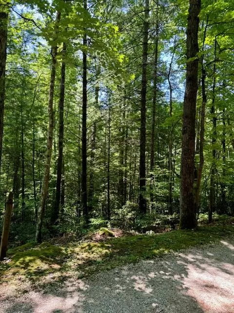 lot Apt 133 Peaceful Valley Rec Retreat, Beattyville, KY 41311