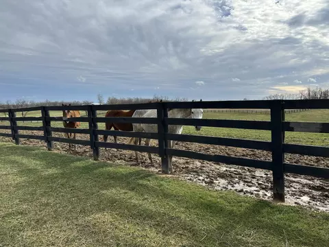 574 Stonetown Rd, Stamping Ground, KY 40379