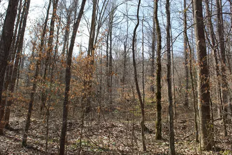 000 Ky 66 Dorton Br, Pineville, KY 40977