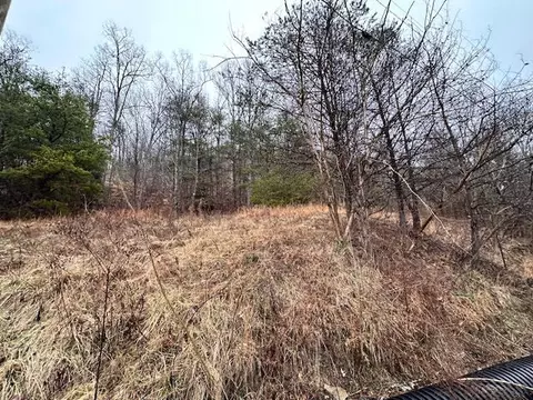 1640 N Fork Rd, Stanton, KY 40380 photo 2