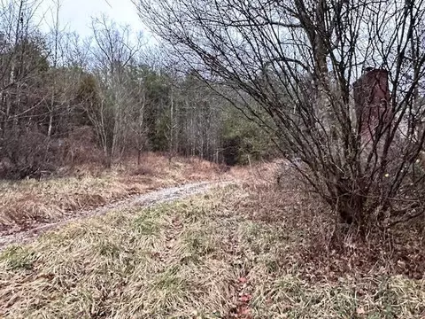 1640 N Fork Rd, Stanton, KY 40380 photo 5