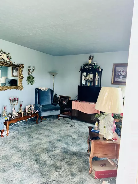 1500 Horan Ln, Springfield, KY 40069 photo 12