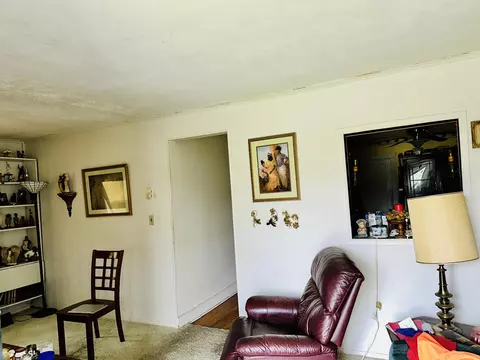 1500 Horan Ln, Springfield, KY 40069 photo 13