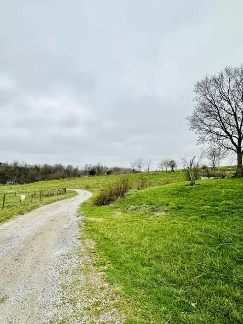 1500 Horan Ln, Springfield, KY 40069 photo 25