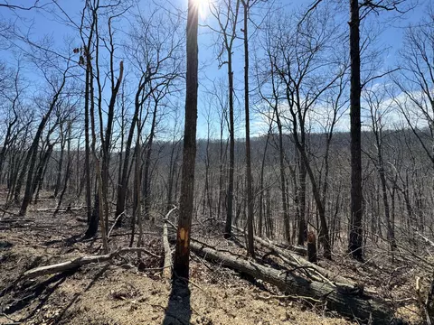 tbd Twin Hills Rd, Hillsboro, KY 41049